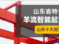 山東省新泰市羊流鎮(zhèn)簡介