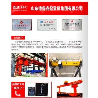 山東起重機(jī)的保護(hù)裝置都有哪些?山東