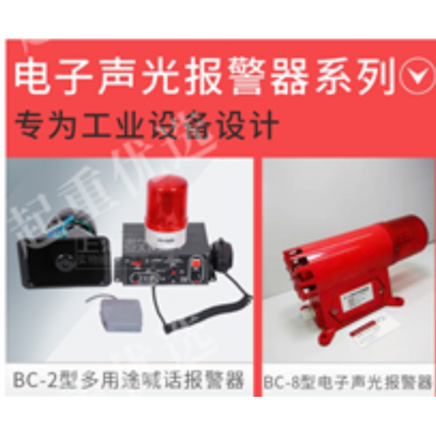 上海起重專業(yè)生產(chǎn)高檔變頻器上海數(shù)
