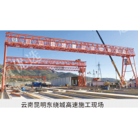 河南新鄉門式起重機制造廠家河南雙力橋梁機械