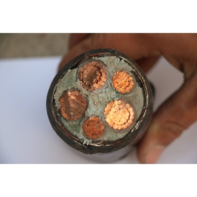 河南新鄉(xiāng)電纜耐高溫電纜線質(zhì)保一年