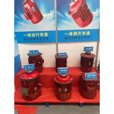 河南專業生產高品質電機衛礦起重機