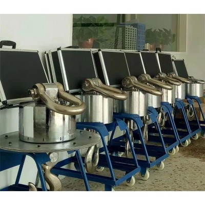 河南定制加工電子吊秤稱重衡器河南