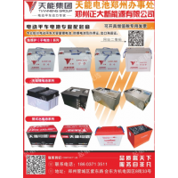 河南優(yōu)惠價(jià)天能電池鄭州正大新能源