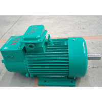 江蘇各種規(guī)格優(yōu)品電機(jī)江蘇宏達(dá)起重電機(jī)有限公司