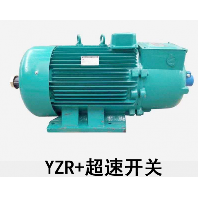 江蘇宏達YZR+超速開關電機-江蘇宏達