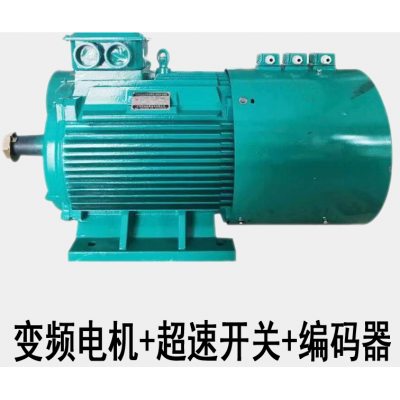 宏達變頻電機+超速開關+編碼器-江蘇