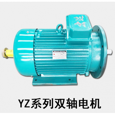 河南宏達(dá)YZ系列雙軸電機(jī)-江蘇宏達(dá)起