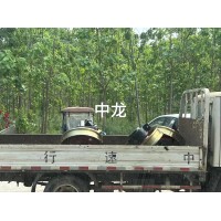 河南垣起中龍-雙梁車輪組