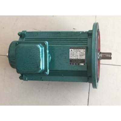 錦州特種電機生產加工的YSE100L1-4D