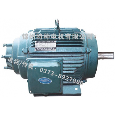電機生產商-錦州特種電機YSE160L1-6