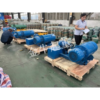 江蘇南京藍色美觀大氣電動葫蘆金牛