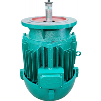 河南品質(zhì)保障優(yōu)質(zhì)電機真牛起重電機