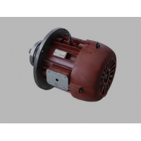 河南各種規(guī)格電機就來真牛起重電機有限公司