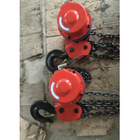黑龍江環(huán)鏈電動(dòng)葫蘆批量制造大慶專業(yè)生產(chǎn)