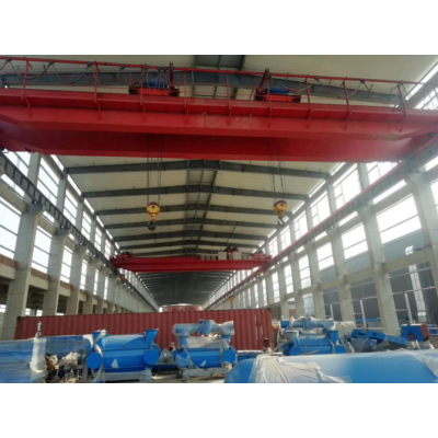 山東神州精細(xì)加工歐式單梁起重機(jī)