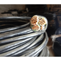 湖南結構新穎電纜線張家界市起重電氣批發