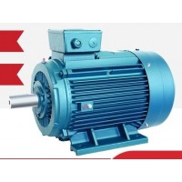 黑龍江佳木斯防爆起重冶金電機-佳木斯起重變頻電機