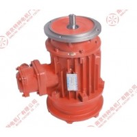 ? 南京特種起重電機(jī)BZDY-? 南京特種起重電機(jī)廠歡迎您