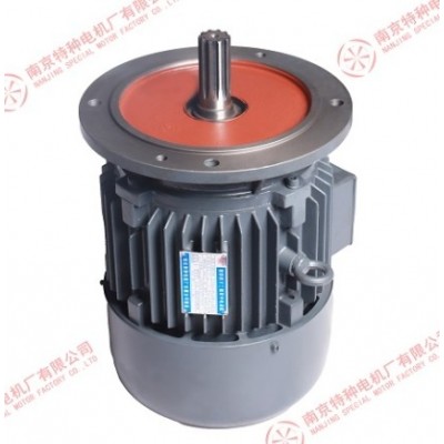 ? 南京特種起重電機原廠原品YEZS-