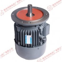 ? 南京特種起重電機(jī)原廠原品YEZS-? 南京特種起重電機(jī)
