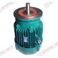 ? 南京特種起重YEZ電機(jī)感謝選購-南京特種起重電機(jī)廠家