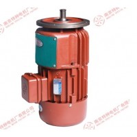 ? 南京特種起重ZDR電機(jī)值得相信-南京特種起重電機(jī)廠家