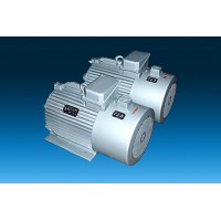 江蘇無錫市勁雕起重電機廠專業生產YZP(YZB)電機
