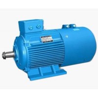 無(wú)錫新大力YZPE系列起重及冶金用變頻調(diào)速三相異步電動(dòng)機(jī)