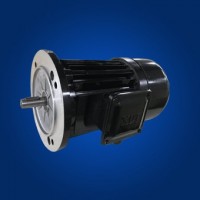 河南力富特起重運(yùn)輸機(jī)械有限公司專業(yè)起重電機(jī)