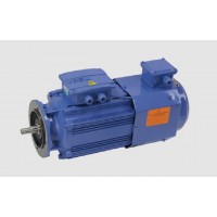 上海滬源起重電機(jī)制造變頻三相異步電動(dòng)機(jī)廠(chǎng)家制造