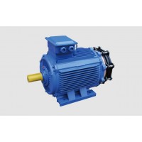 上海滬源起重電機(jī)主營(yíng)YSE系列實(shí)心轉(zhuǎn)子軟啟動(dòng)電機(jī)（R1）