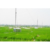小麥氣候室
