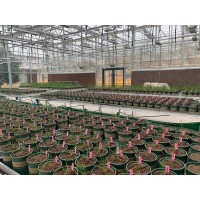 野外大田植物表型平臺