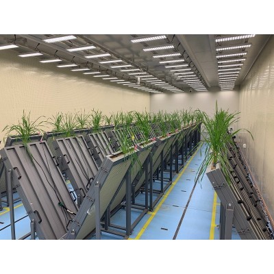 實(shí)驗(yàn)室傳送帶植物表型平臺(tái)