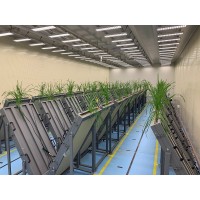 實驗室傳送帶植物表型平臺
