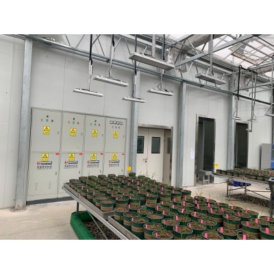 實(shí)驗(yàn)室桁架植物表型平臺(tái)
