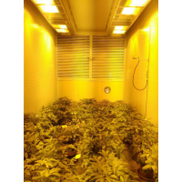 LED補光氣候室